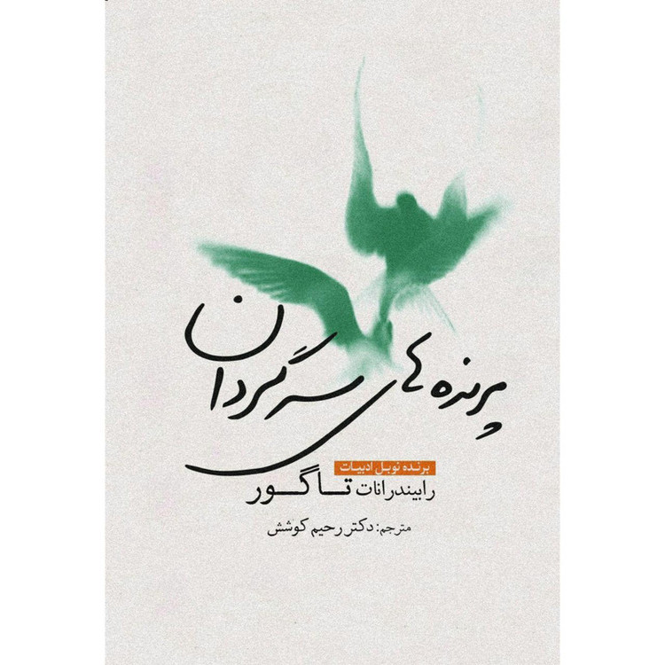 کتاب پرندههای سرگردان اثر رابیندرانات تاگور انتشارات سبزان