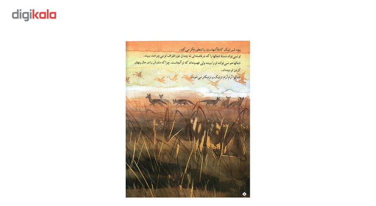 کتاب بچه شیر تنها نمی ماند اثر راث براون