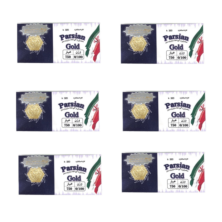 سکه پارسیان 100 سوتی 6 عددی معتبر دارای هولوگرام