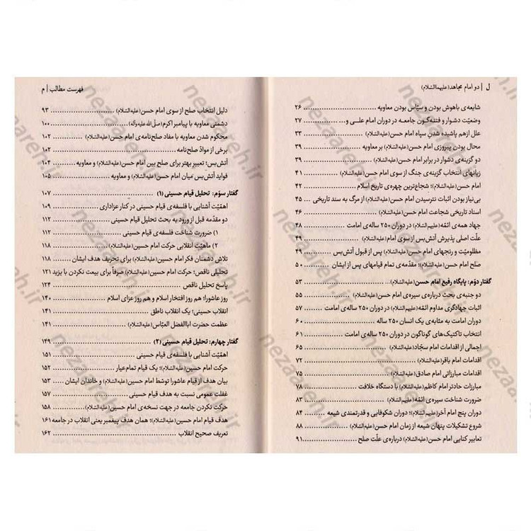 کتاب دو امام مجاهد (امام حسن و امام حسین (ع)) شش گفتار از حضرت آیت الله العظمی شهید خامنه ای در تحلیل مبارزات سیاسی حسنی
