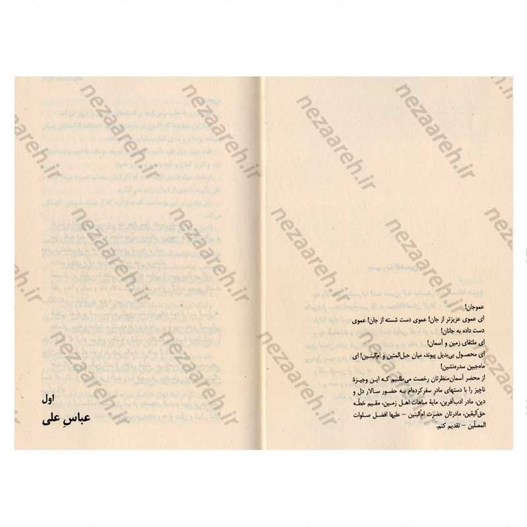 کتاب سقای آب و ادب اثر سید مهدی شجاعی