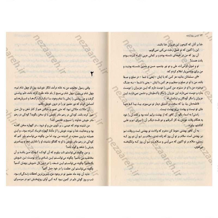 کتاب کشتی پهلو گرفته اثر سید مهدی شجاعی