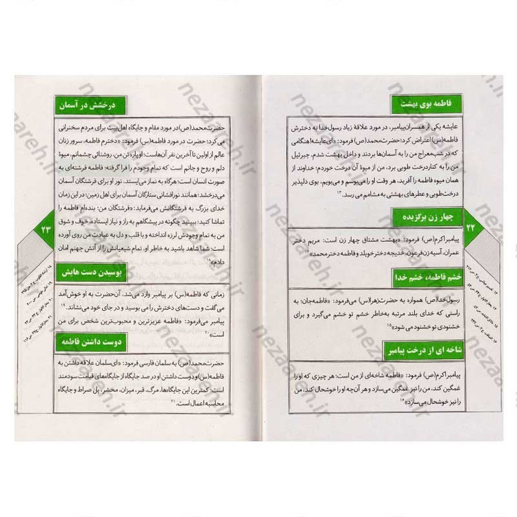 کتاب مقتل فاطمی نوجوان اثر علی شعیبی