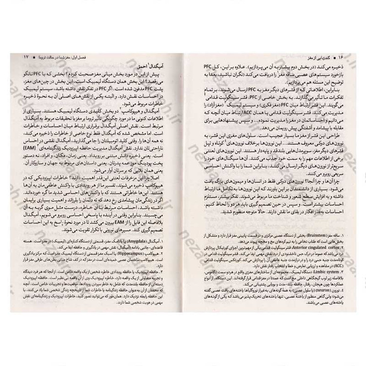 کتاب گندزدایی از مغز اثر فیث جی. هارپر