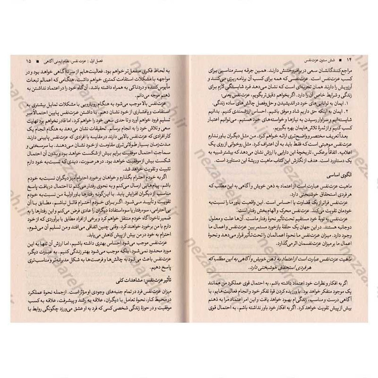 کتاب شش ستون عزت نفس اثر ناتانیل براندن
