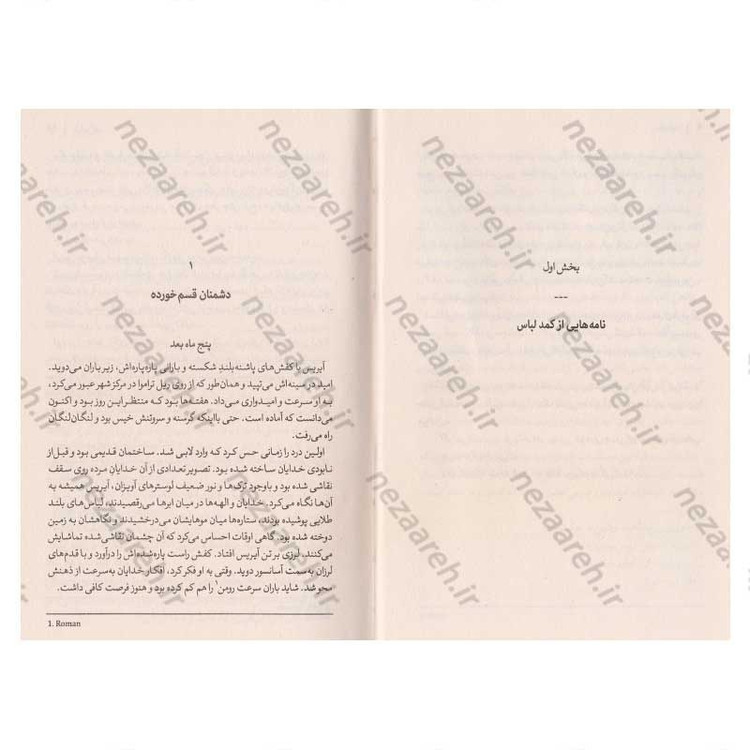 کتاب رقبای الهی اثر ربکا راس انتشارات آزرمیدخت