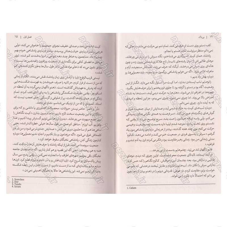 کتاب بی باک اثر لورن رابرتس