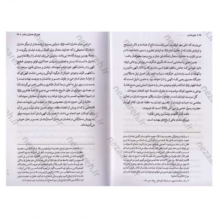 کتاب بانوی اندلس (پژوهشی مستند درباره زندگانی و زادگاه مادر گرامی امام رضا(ع) و حضرت معصومه (س))