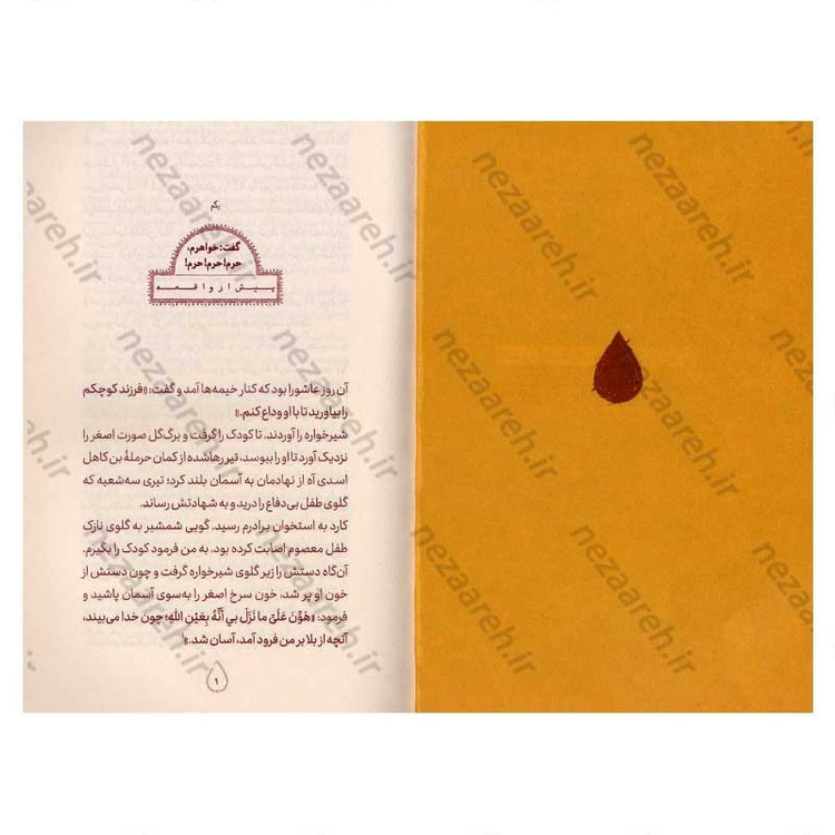 کتاب خون هایش (امام حسین (ع) به روایت حضرت زینب (س)) اثر محمد حسن شاهنگی
