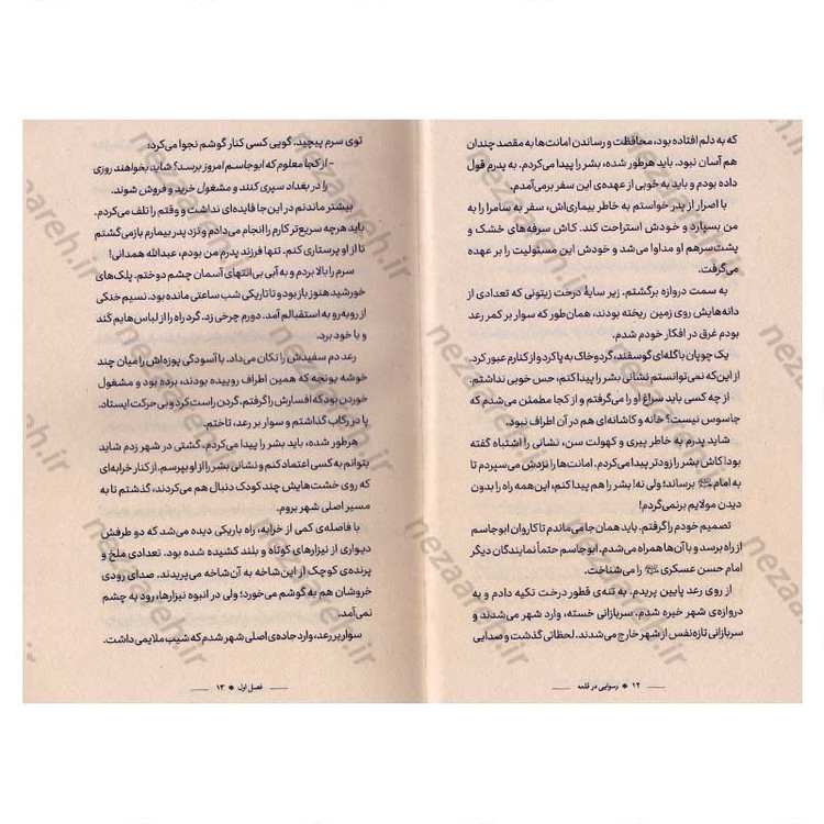 کتاب رسوایی در قلعه اثر زینب صباغی