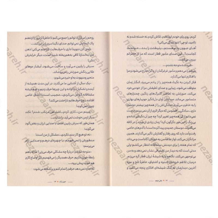 کتاب ارض موعود (رمانی بر اساس ماجراهای واقعی) اثر حوریه مشهدی ابراهیم