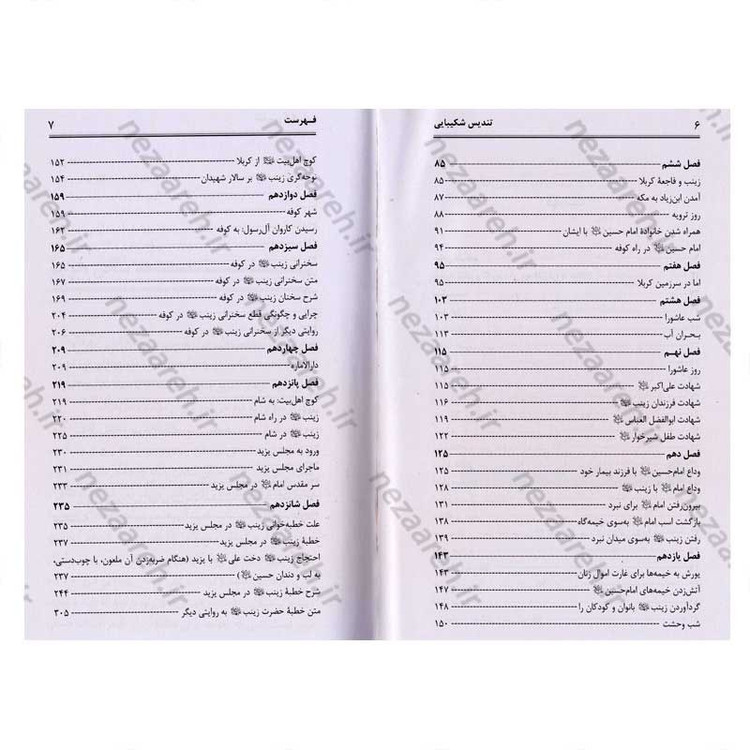 کتاب تندیس شکیبایی (ترجمه ای از کتاب زینب الکبری من المهد الی اللحد) نویسنده آیت الله محمد کاظم قزوینی
