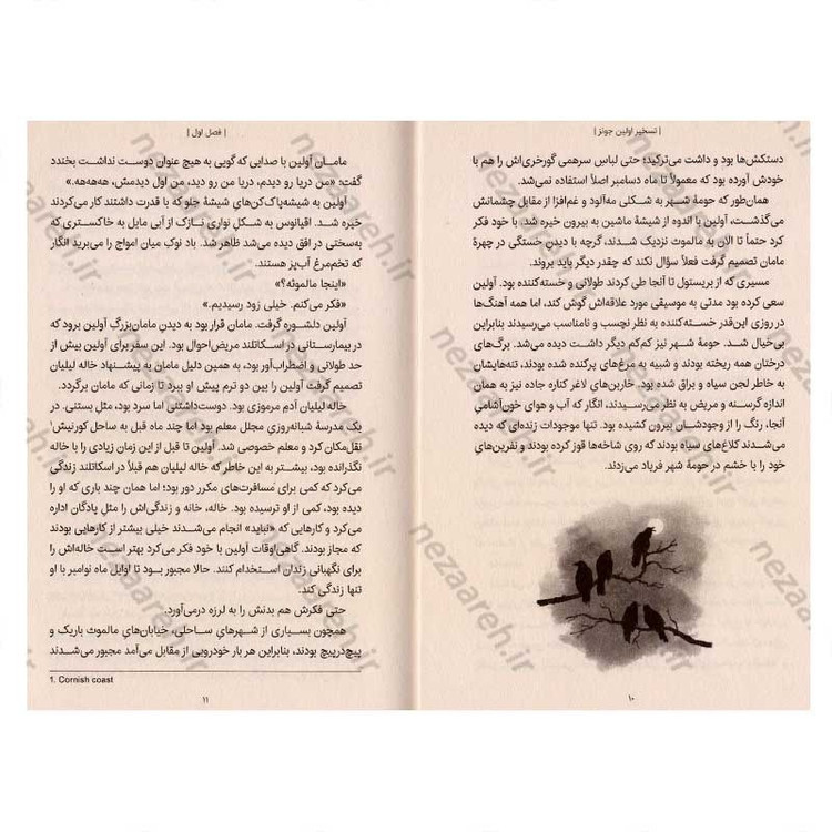 کتاب تسخیر آولین جونز اثر فیل هیکس
