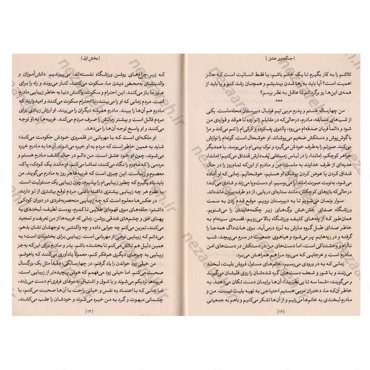 کتاب جنگجوی عشق اثر گلنن دویل ملتن