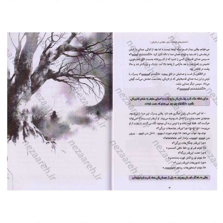 کتاب داستان های ترسناک برای خواندن در تاریکی اثر الوین شوارتز