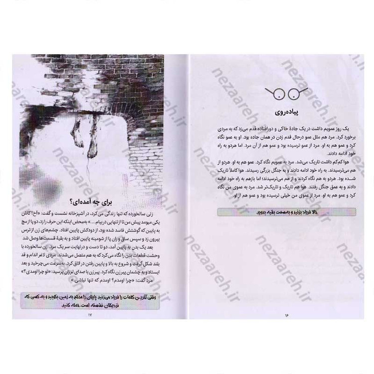 کتاب داستان های ترسناک برای خواندن در تاریکی اثر الوین شوارتز
