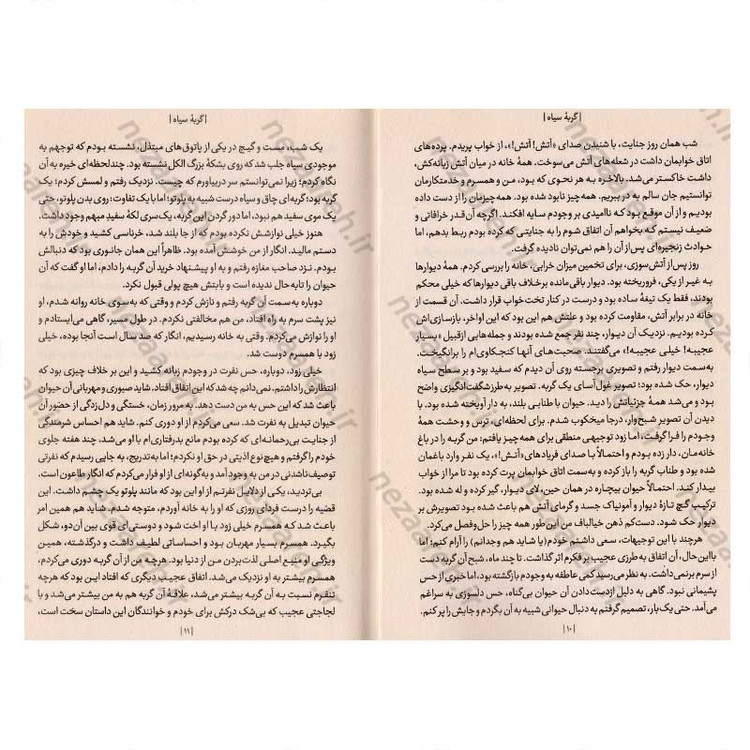 کتاب گربه سیاه و داستان های کوتاه دیگر