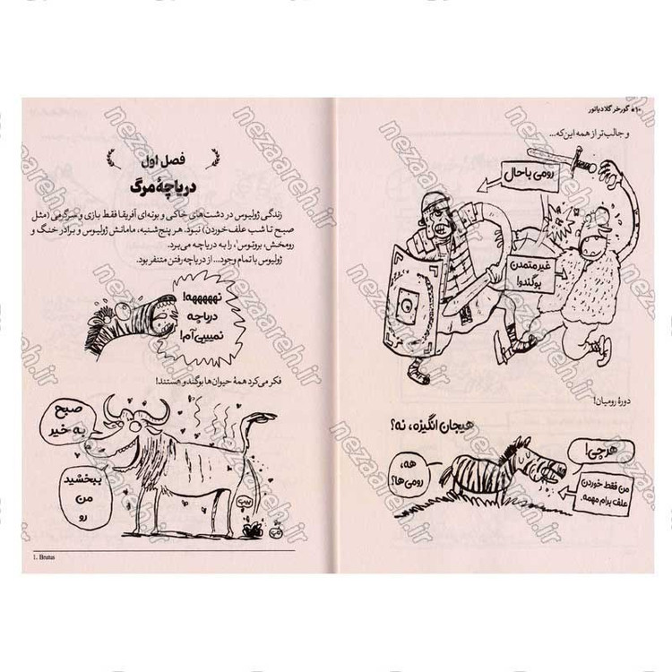 کتاب گورخر گلادیاتور (بزن بزن با رومی ها) اثر گری نورتفیلد