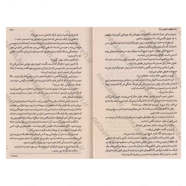 کتاب شینا مایر جلد دوم (نجوای دختری در باد) اثر ال. بی. آن