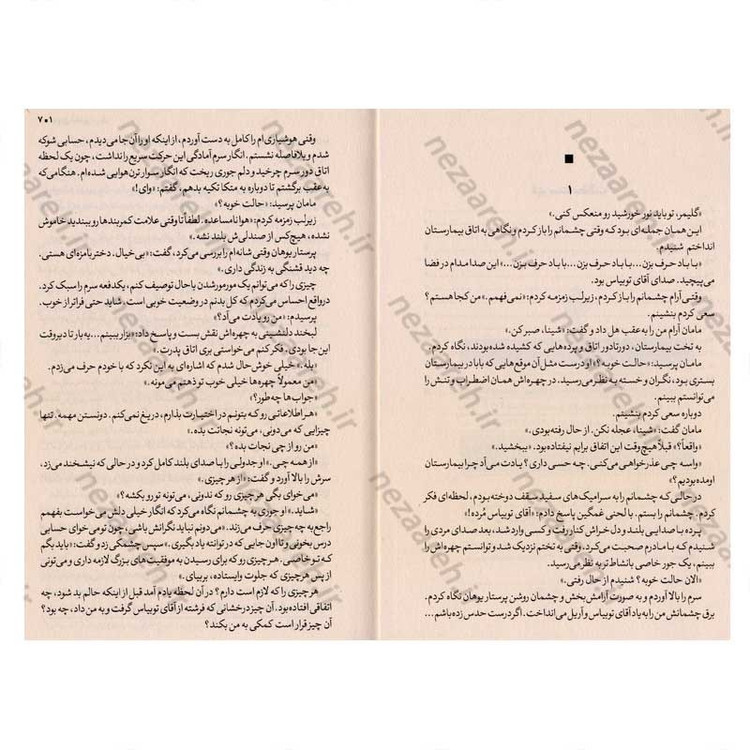 کتاب شینا مایر جلد دوم (نجوای دختری در باد) اثر ال. بی. آن