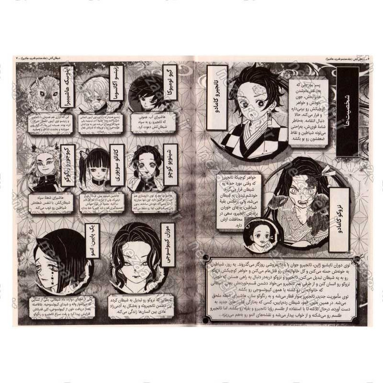 کتاب شیطان کش (جلد هشتم) قدرت هاشیرا اثر کویاهارو گوتوگه