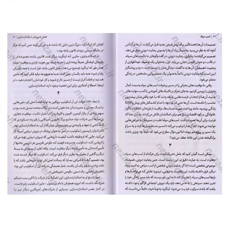 کتاب اسب سیاه (دستیابی به موفقیت چشمگیر از مسیری خلاف همیشه) اثر تاد رز، اگی اگاس