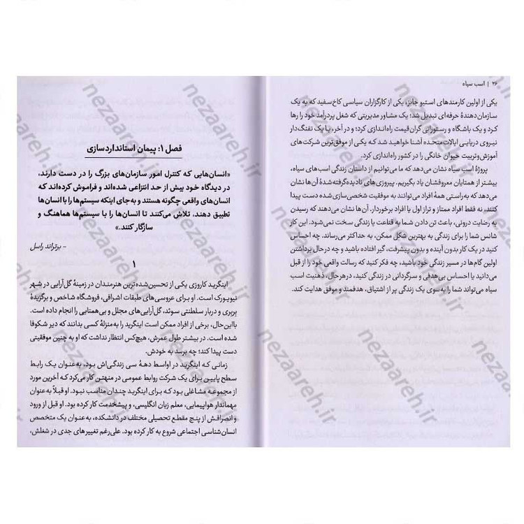 کتاب اسب سیاه (دستیابی به موفقیت چشمگیر از مسیری خلاف همیشه) اثر تاد رز، اگی اگاس