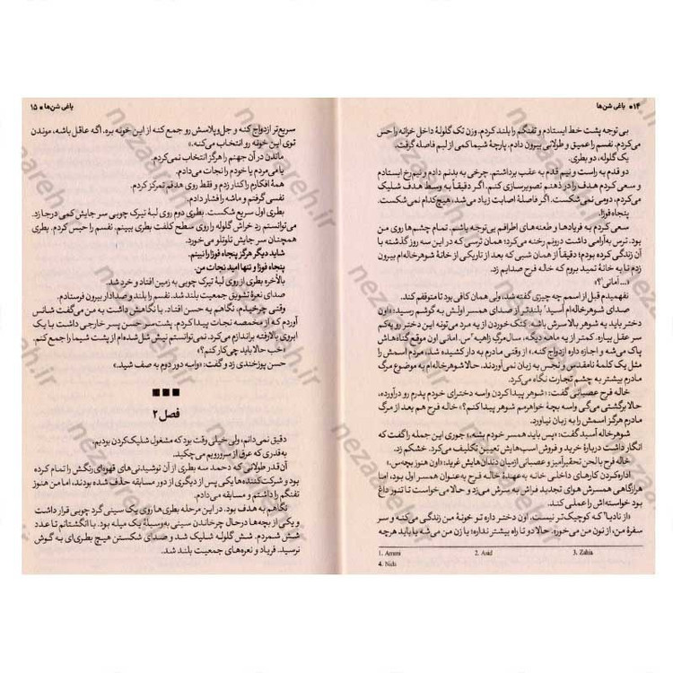 کتاب یاغی شن ها اثر آلوین همیلتون