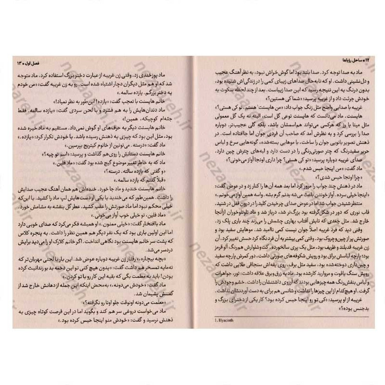 کتاب ساحل رویاها اثر لورا امی اشلیتس