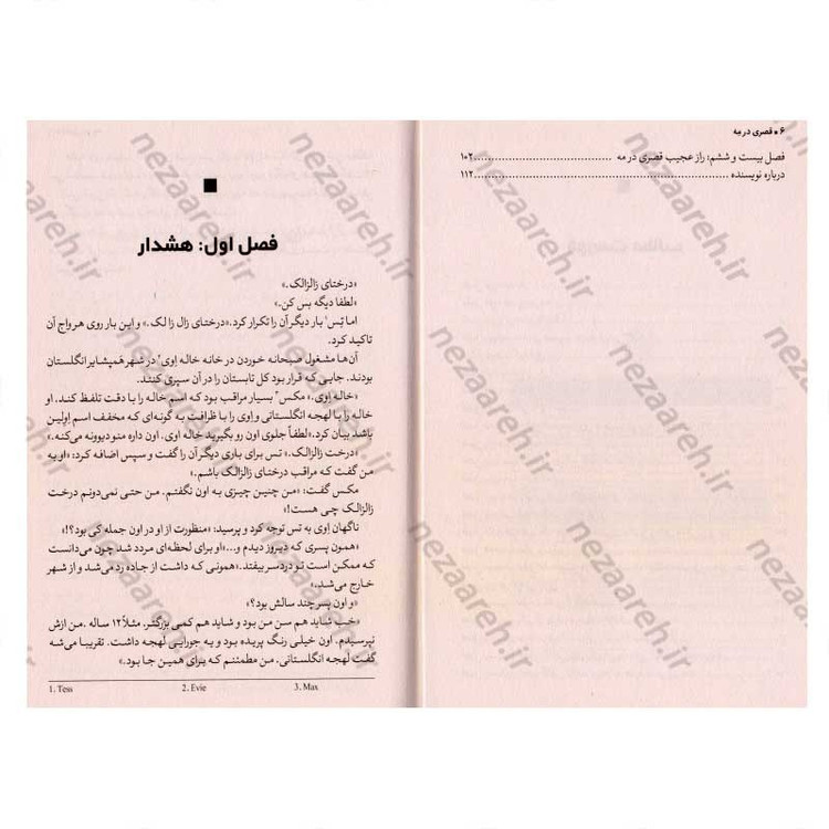 کتاب قصری در مه اثر ایمی افرون