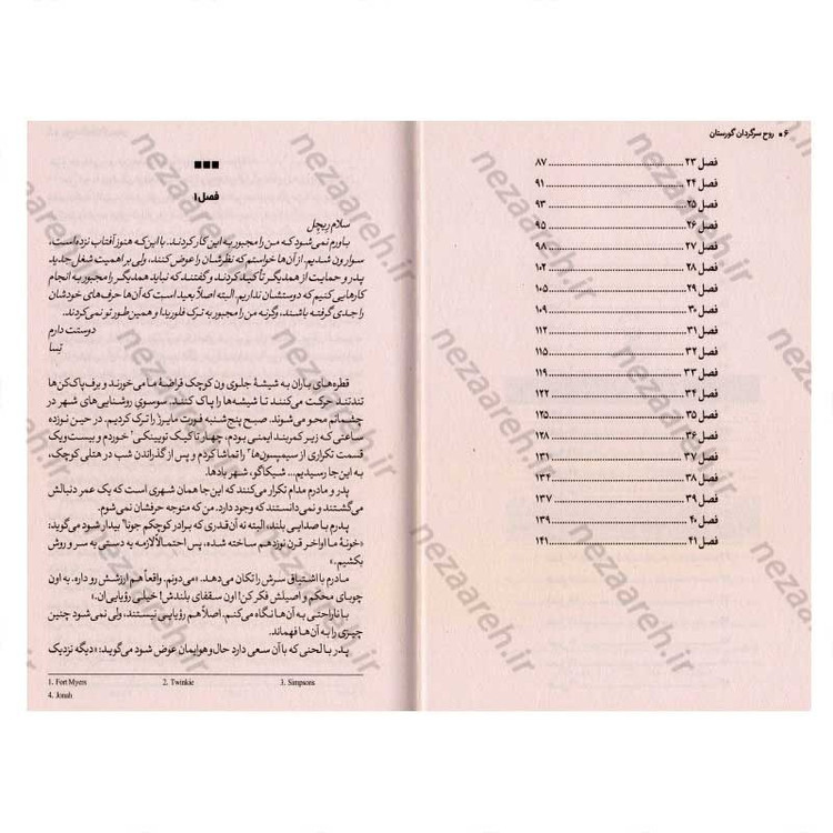 کتاب روح سرگردان گورستان اثر لینزی کری