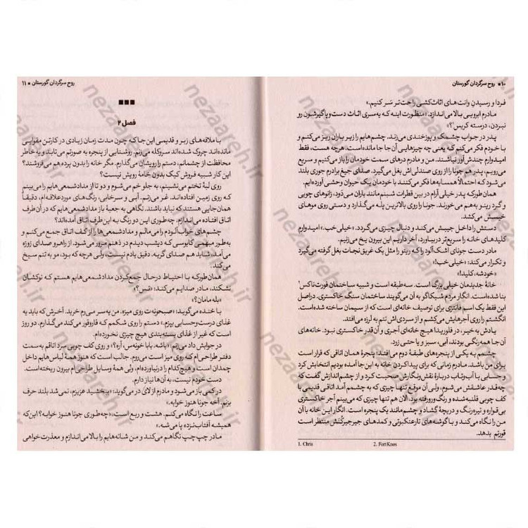 کتاب روح سرگردان گورستان اثر لینزی کری
