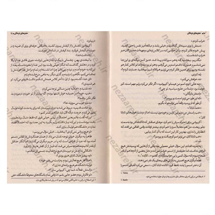 کتاب حفره های تو خالی اثر سامینو یورو