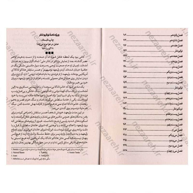 کتاب رویای توکیو اثر امیکو جین