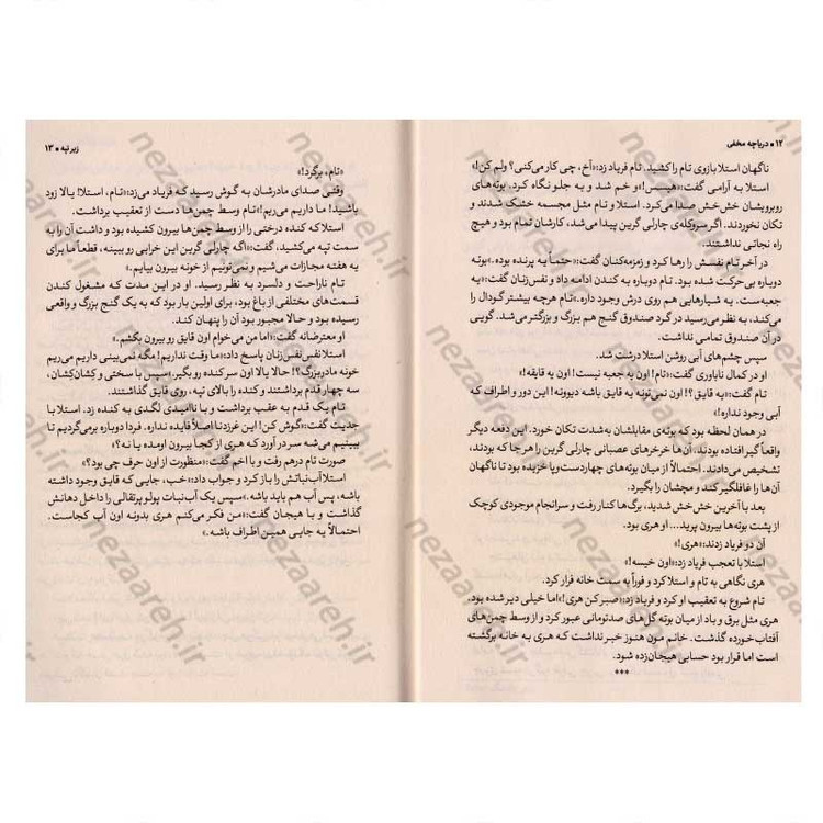 کتاب دریاچه مخفی اثر کارن اینگلیس