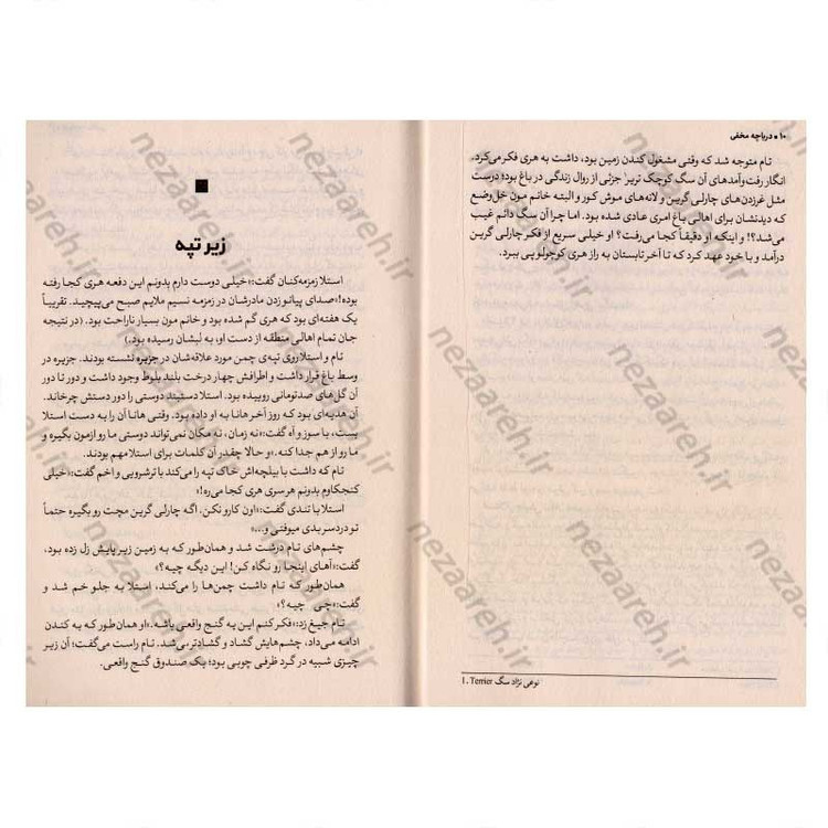 کتاب دریاچه مخفی اثر کارن اینگلیس
