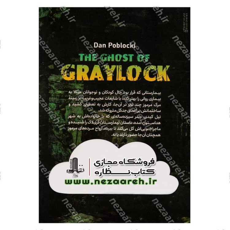 کتاب پرسه در تیمارستان متروک اثر دن پابلوکی