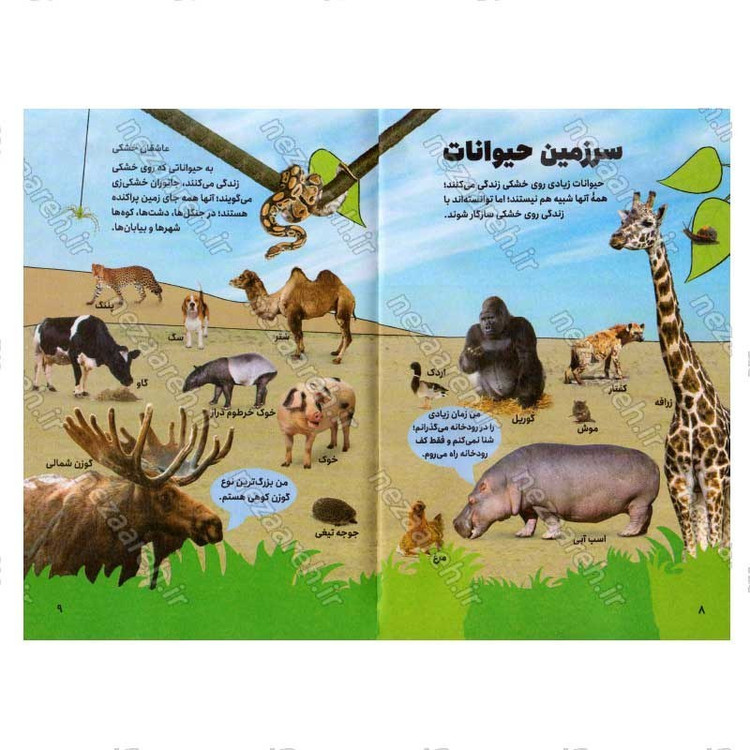 کتاب دانشنامه تصویری حیوانات اثر دورلینگ کیندرزلی
