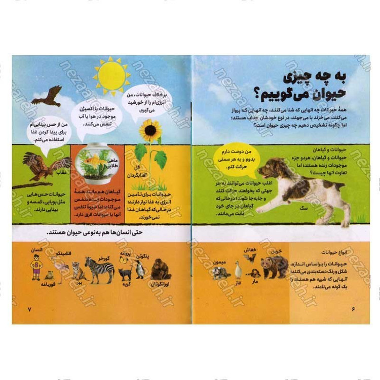 کتاب دانشنامه تصویری حیوانات اثر دورلینگ کیندرزلی