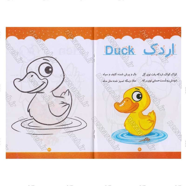 کتاب رنگ آمیزی کودکانه حیوانات