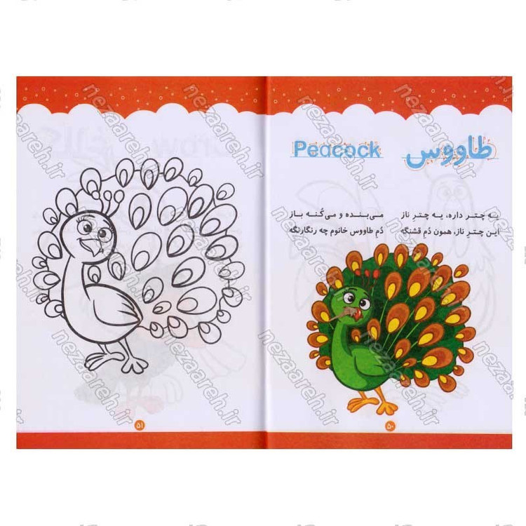 کتاب رنگ آمیزی کودکانه حیوانات