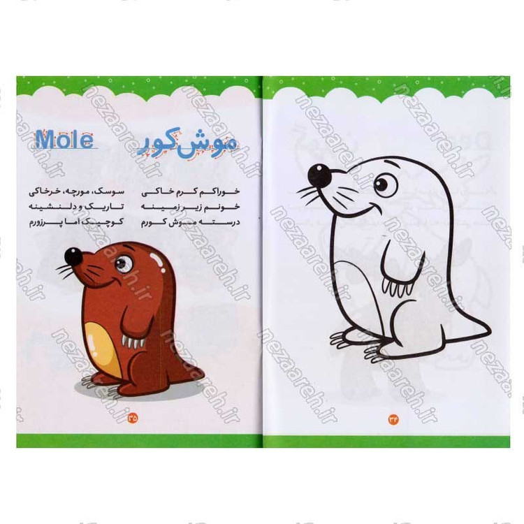 کتاب دوطرفه داستان و رنگ آمیزی اثر انتشارات کاتج دور پرس