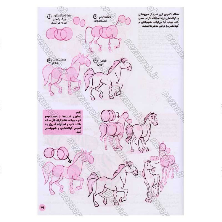 کتاب چطور شخصیت حیوانی طراحی کنیم اثر میچ لیو