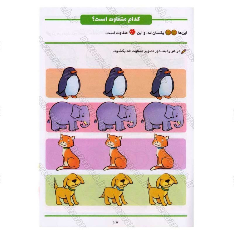 کتاب پک دو جلدی آموزش جهت ها و موقعیت ها و یکسان یا متفاوت (برای کودکان 3 تا 7 سال) اثر باربارا گرگوریچ، لیزا کارمونا