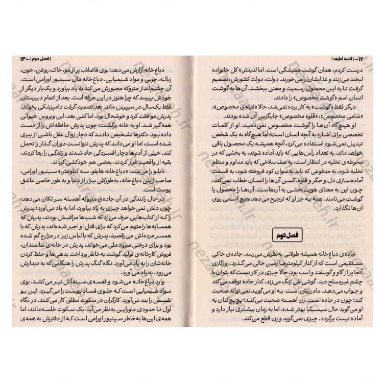 کتاب لاشه ی لطیف نویسنده آگوستینا ماریا باستریکا