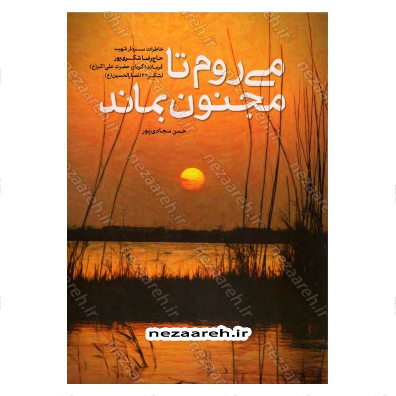 کتاب می روم تا مجنون بماند اثر حسن سجاد پور