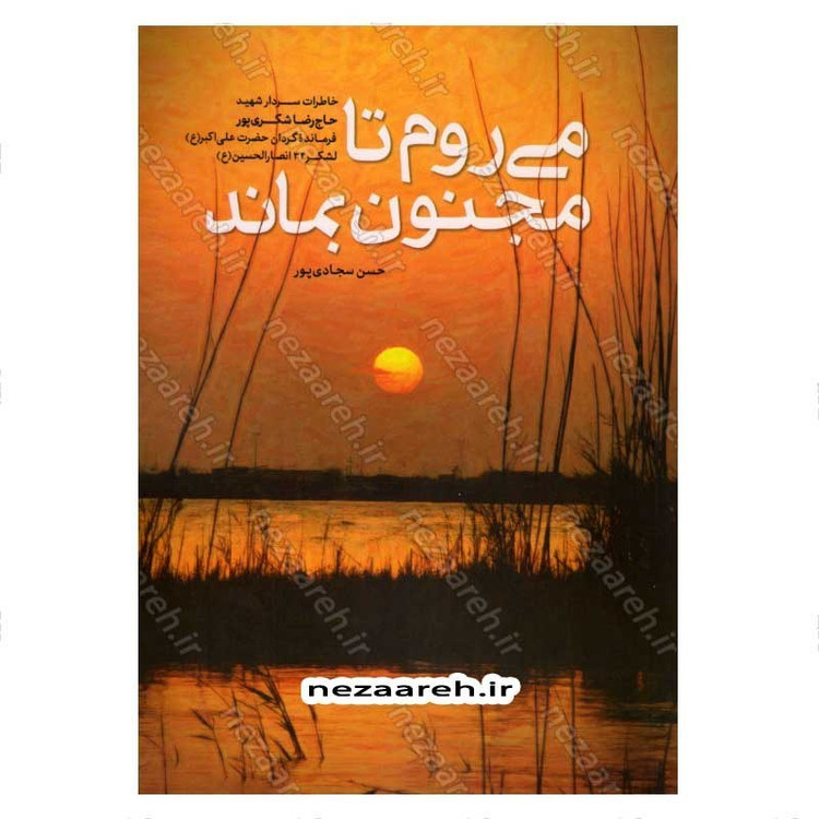 کتاب می روم تا مجنون بماند اثر حسن سجاد پور