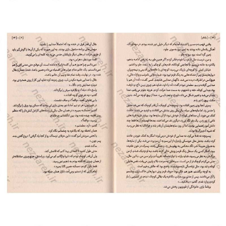 کتاب بادام (روایتی از پسری که نمی تواند احساساتش را نشان دهد) اثر وون پیونگ سون