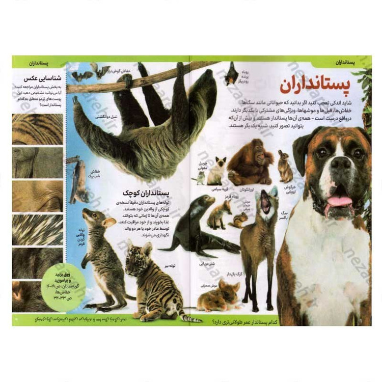 کتاب دانشنامه مصور حیوانات اثر پنلوپ آرلون