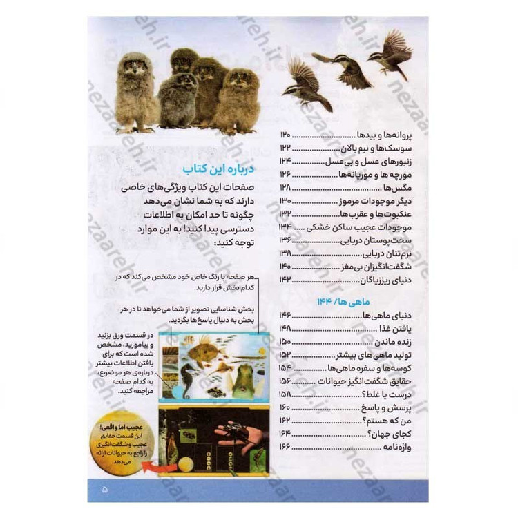 کتاب دانشنامه مصور حیوانات اثر پنلوپ آرلون